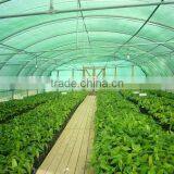 Simple Structure Tunnel Greenhouse For Vegetables/Flowers/Fruits thumbnail-5
