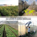 Temperature and Humidity Wireless Sensors Automation Developer Starter Pack for Greenhouse thumbnail-3