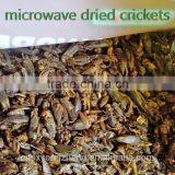 Factory Wholesale & Retail Microwave Dried Crickets for Pet Birds Food thumbnail-2