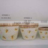 Terracotta Bonsai Pot thumbnail-1