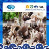 Frozen Baby Octopus China Origin thumbnail-1
