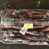 Best Price Illex Squid(Illex Argentinus) thumbnail-1