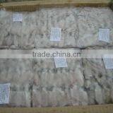 BQF Маленький kalmar (пунтилла калмара) thumbnail-1