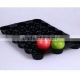 FDA Approved Poland Market Hot Sales PP Material 39x59cm Plastic Apple Tray thumbnail-4
