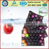 France Market Popular Wholesale 39x59cm Polypropylene Fruit Alveoles Tray For Apples thumbnail-3