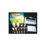 Enrofloxacin ELISA Test Kit thumbnail-2