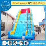 Commercial Swimming Pool Monkey Giant Inflatable Water Slide With EN14960/EN15649