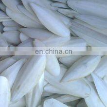 CUTTLEFISH BONE VIETNAM