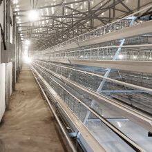 Poultry Farming Equipment Automatic Chicken Battery Cage thumbnail-3