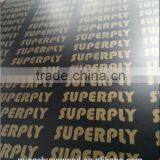 Brown Film Faced Plywood,black Film Faced Plywood Phenolic Glue,birch Core Plywood,wbp Glue thumbnail-2