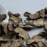 High Quality Truffle Black Truffles With Market Prices for Mushroom thumbnail-3
