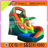 2016 Pop-selling Custom Made Inflatable Plastic Water Slide thumbnail-4