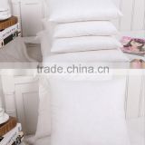 Adults Age Group and 100% Cotton Material Down Feather Pillow