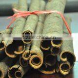 Cassia Tube thumbnail-1