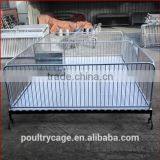 Best Selling Best Price Sow Farming Application Piglet Nursery Bed(Pig Equipment) thumbnail-3