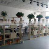 Shenzhen TOLO Leisure Equipment Co., Limited company overview - view 1 thumbnail