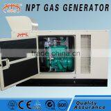 10kva ce Biogas Generator From Weifang Factory