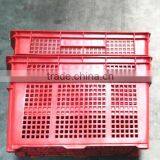 Agriculture and Food Grade Plastic Hand-held Box thumbnail-1