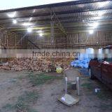 Exporters Of Fresh Cocounts thumbnail-5