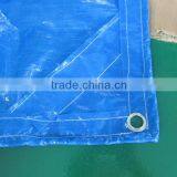 Sewing Edges Style All Weather Resistant Light Duty Fabric PE Tarpaulin Sheetting