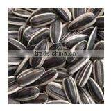 Sunflower Seeds in Shell thumbnail-1