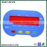 Portable Small Size Electronic Scale PET Graphic Overlay