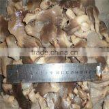 Sale Vegetarian Oyster Mushroom Bottle Pleurotus Mushrooms Dried Oyster Mushroom thumbnail-4