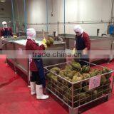 Sino Thai Interfoods Co., Ltd. company overview - view 3 thumbnail