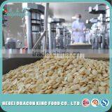 Organic Blanched Apricot Kernel Free Sample