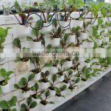 Expanded Perlite for Seedlings, Grow Composts, Soil Conditioner thumbnail-5