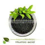 Ball and Powder Organic Fertilizer Humic Acid Fulvic Acid From Natural Leonardite thumbnail-1