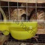 High Quality and New Material Pigeon Drinker/pigeon Water Drinkers/bird Water Drinkers/quail Drinker thumbnail-2