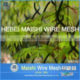 PVC Coated and Galvanized 50mm Opening 2.5mm Chain Link Fence thumbnail-5