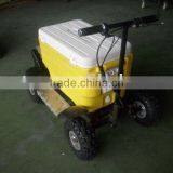 ELECTRIC MOTOR SCOOTER SX-G110 thumbnail-1