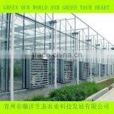 Multi Span Glass Greenhouse for Agriculture Planting thumbnail-1