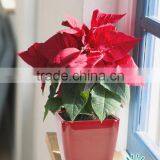 Wholesale Hydro System Plastic Vertical Gardem Planter,DIY Flower Pots thumbnail-4