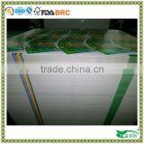 pe Coated Cup Paper With Custom Logo Printed thumbnail-1