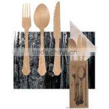 Disposable Cutlery Set thumbnail-1