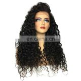 Wholesale hair deep wave Lace Front Wig preplucked free lace wig samples