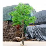 3meter Green Artificial Wisteria Tree for Decoration