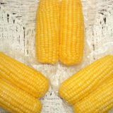 Imported Fresh Sweet Corn Natural Fresh Sweet Corn Food Prices Quality Chinese Exports