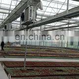The Cheapest Hot Sale Mappower Agricultural  Plastic Greenhouse