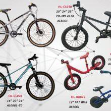 Children MTB bike Aluminium Alloy frame