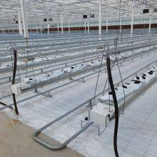 Greenhouse tomato planting trough