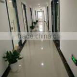 Ningbo Four Seasons Evergreen International Trade Co., Ltd. company overview - view 1 thumbnail