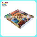 Custom 4 Color Cover Book/ Perfect Binding/ Printing Company