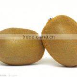 Leader Low Price Kiwi Washing and Peeling Machine for Food Processing thumbnail-6