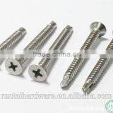 Stainless Steel Customized 3161 Tapping Screw Bolts