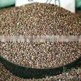 Brown China Perilla Seed Brown, 2014 Crop