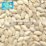 Different Types of Seeds Yellow Pumpkin for Sale, Pumpkin Seeds thumbnail-1